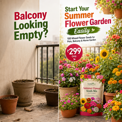Summer Flower Seeds Mix –  For Balcony, Terrace & Home Garden
