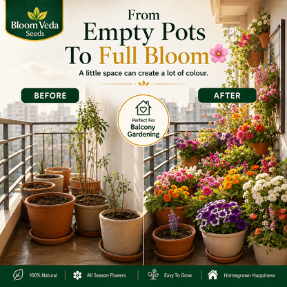 All Season Mixed Flower Seeds 100 Seeds – Best for Home Garden, Balcony & Terrace