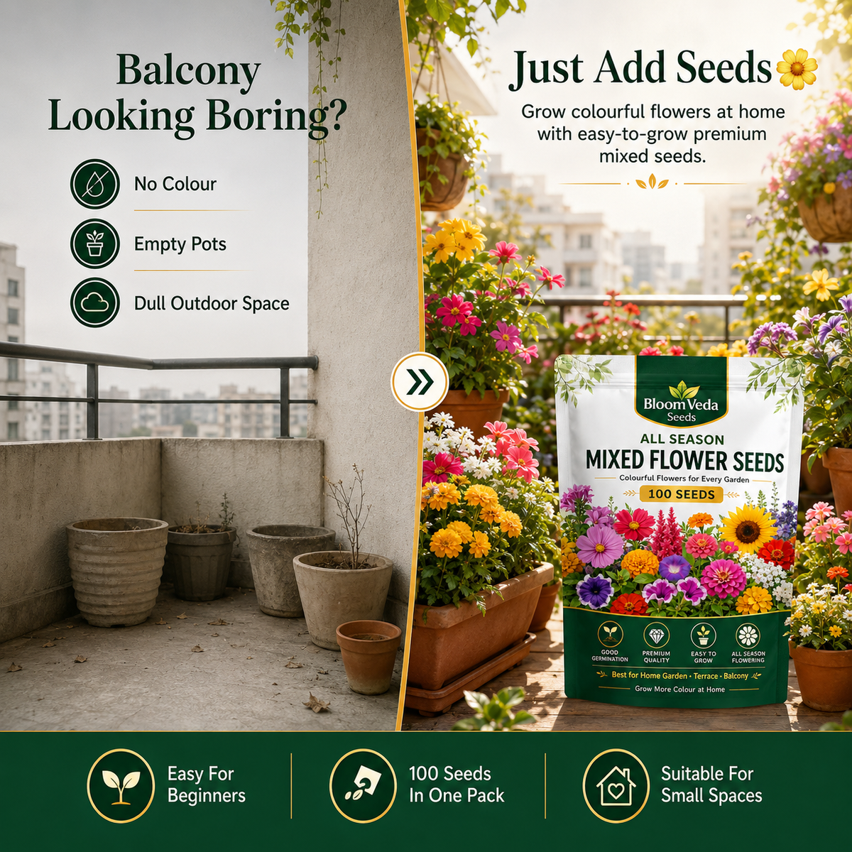 All Season Mixed Flower Seeds 100 Seeds – Best for Home Garden, Balcony & Terrace