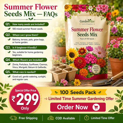 Summer Flower Seeds Mix –  For Balcony, Terrace & Home Garden