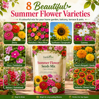 Summer Flower Seeds Mix –  For Balcony, Terrace & Home Garden