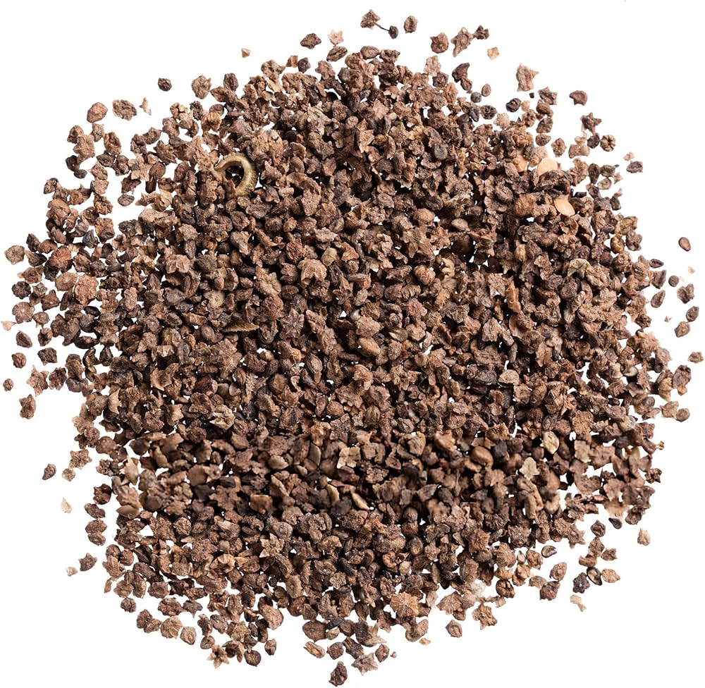 Kochia Plant Premium Seeds- Summer Friendly