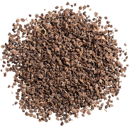 Kochia Plant Premium Seeds- Summer Friendly
