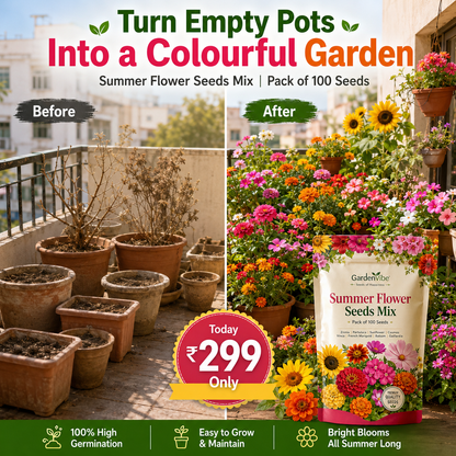 Summer Flower Seeds Mix –  For Balcony, Terrace & Home Garden
