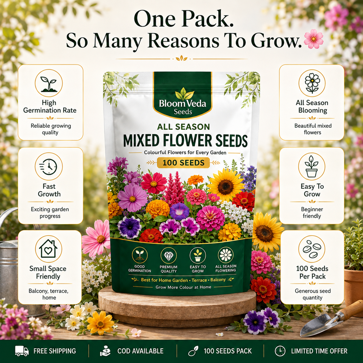 All Season Mixed Flower Seeds 100 Seeds – Best for Home Garden, Balcony & Terrace