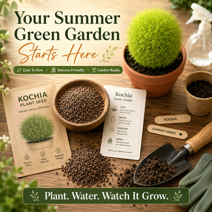 Kochia Plant Premium Seeds- Summer Friendly