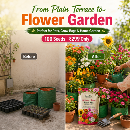 Summer Flower Seeds Mix –  For Balcony, Terrace & Home Garden